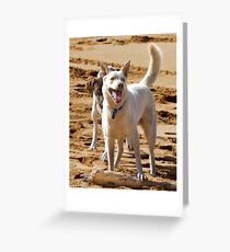Soon That Stick Will Be Mine Greeting Card