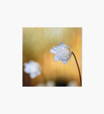 Easter Flowers Art Board