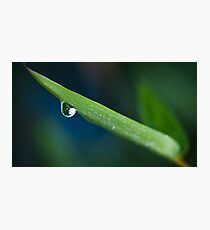 Water Droplet at Close Photographic Print