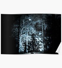 The Weeping Tree Poster