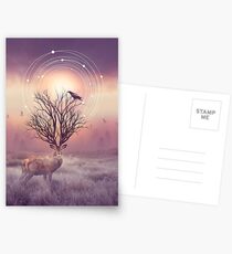 In the Stillness Postcards