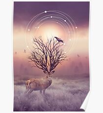 In the Stillness Poster