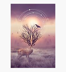 In the Stillness Photographic Print