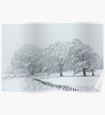Snow Scene Poster