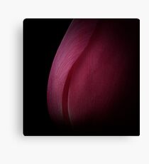 Beauty in the dark Canvas Print