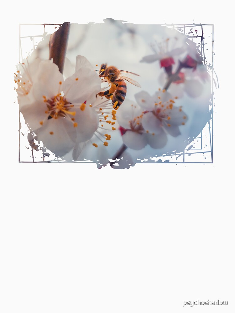 honey bee on apricot flowers by psychoshadow