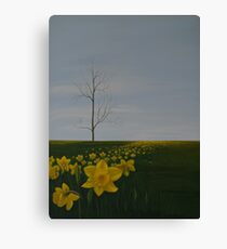 Spring again Canvas Print