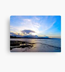 Merging Shorelines Canvas Print