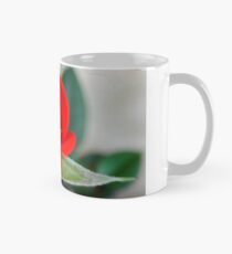 BABY RED RED ROSE Mug
