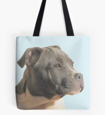 I'm Handsome Tote Bag