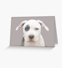 Be Still My Heart Greeting Card
