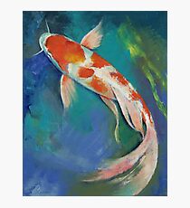 Kohaku Butterfly Koi Photographic Print