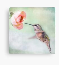 Hummingbird on Green Canvas Print