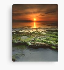 "Greenfield Sunrise" ∞ Vincentia, NSW - Australia Canvas Print