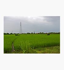 ash-263 Photographic Print