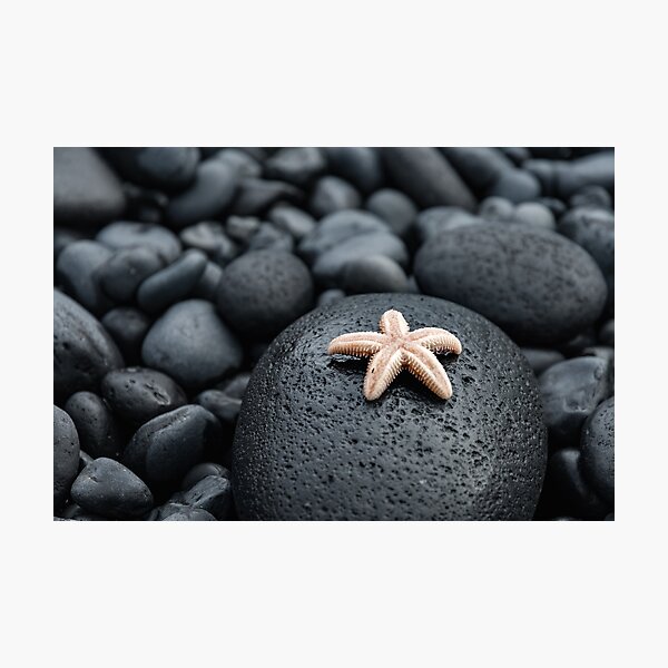 Cute starfish on lava rocks Photographic Print