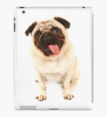 Vinilo o funda para iPad doguillo