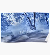 winter wonders Poster