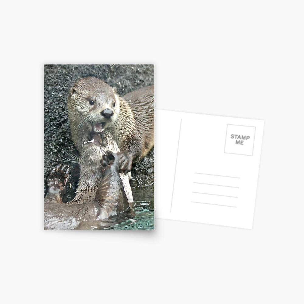 The joy of otter Postcard