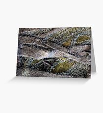 Feelin' Fabric! Greeting Card