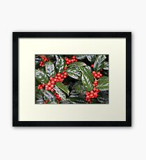 Holly Framed Print