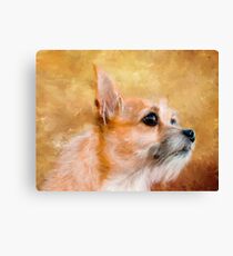 Beloved Canvas Print
