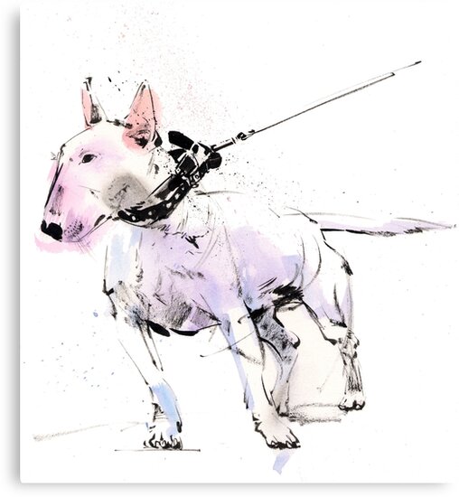 "English Bull Terrier" Canvas Prints by Gary Wing Redbubble