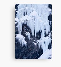 Ice Climber Canvas Print