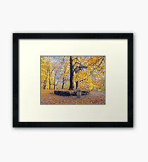 Yellow Autumn Framed Print