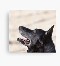 I believe there is something out there watching us. Canvas Print