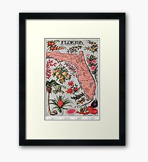 Vintage Map of Florida (1917) Framed Print