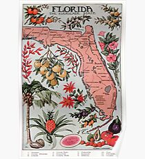 Vintage Karte von Florida (1917) Poster