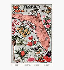 Vintage Karte von Florida (1917) Fotodruck