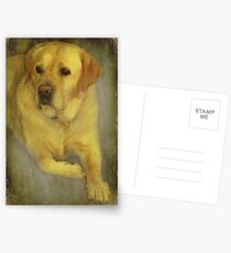 "Any Christmas Treats for ME ?..." Postcards