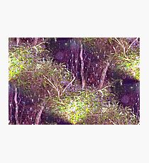 Altered Reality Photographic Print
