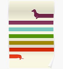 (Very) Long Dachshund Poster