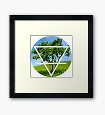 Earth Framed Print