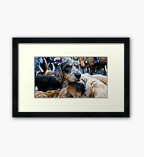 Well it is boxing day! and can not always look ones best Framed Print