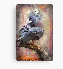 Finer Feathered Friends: Crested Dove Metal Print