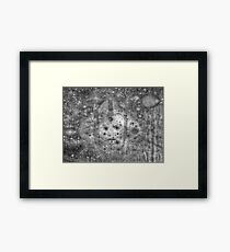 Padme Amidala - Queen of Naboo Framed Print