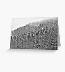 ❤❤❤ Gorce High Key . by Brown Sugar. Merry Christmas and Happy New Year 2013 ! Buy what you like ! Greeting Card