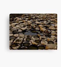 Giants Canvas Print