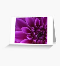 Flower macro Greeting Card