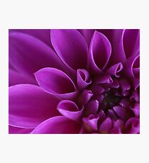 Flower macro Photographic Print