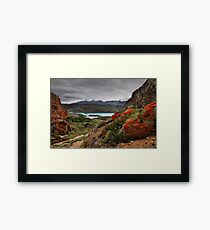 Flame Bushes, Laguna and Mountains Framed Print