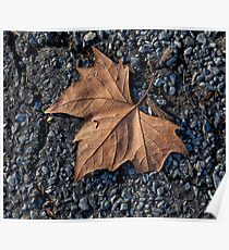 Leaf Poster