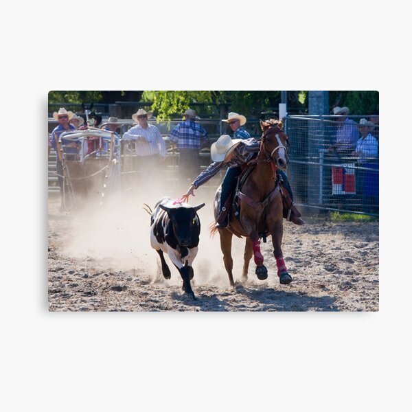Moruya Rodeo New Years Day 2012 Canvas Print