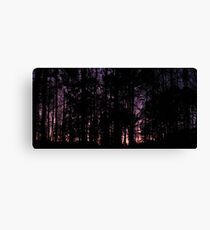 Horizontal Panorama Canvas Print
