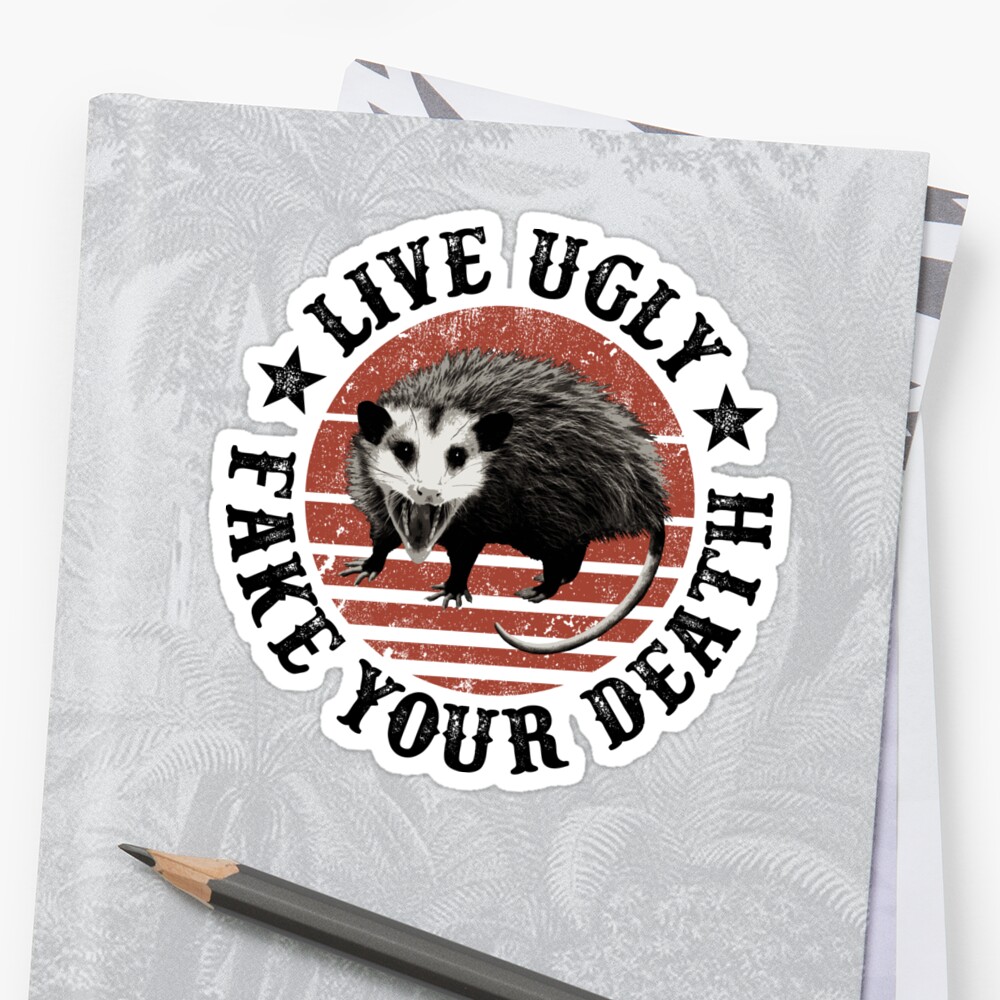 live ugly possum