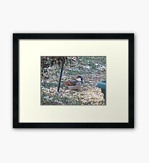 The best kind of friends! Framed Print